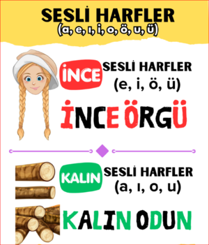 Kalın ünlü harfler ve ince ünlü harfler